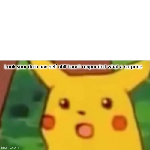 Surprised Pikachu | Look your dum ass self still hasn't responded what a surprise | image tagged in memes,surprised pikachu | made w/ Imgflip meme maker