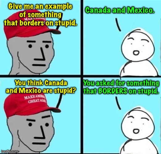 Trump Administration | Give me an example of something that borders on stupid. Canada and Mexico. You think Canada and Mexico are stupid? You asked for something that BORDERS on stupid. | image tagged in npc | made w/ Imgflip meme maker