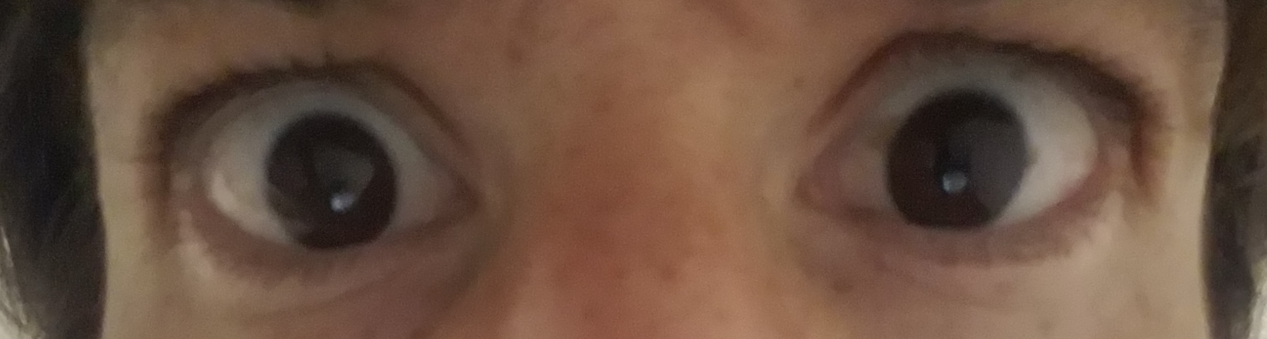 death stare Blank Meme Template