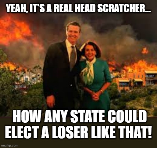 Pelosi Newsom | YEAH, IT'S A REAL HEAD SCRATCHER... HOW ANY STATE COULD ELECT A LOSER LIKE THAT! | image tagged in pelosi newsom | made w/ Imgflip meme maker