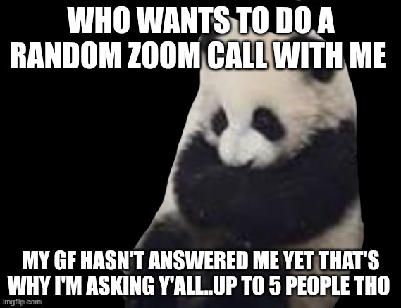 panda | WHO WANTS TO DO A RANDOM ZOOM CALL WITH ME; MY GF HASN'T ANSWERED ME YET THAT'S WHY I'M ASKING Y'ALL..UP TO 5 PEOPLE THO | image tagged in panda | made w/ Imgflip meme maker