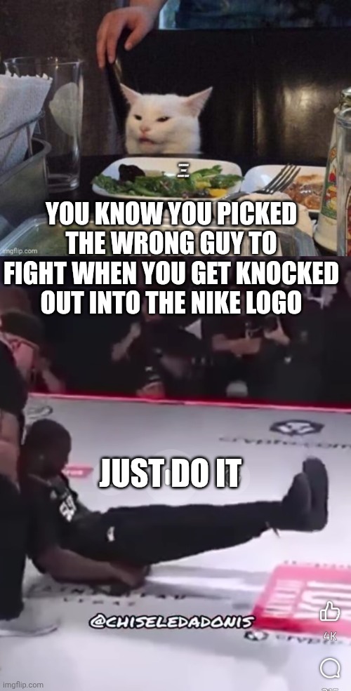 YOU KNOW YOU PICKED THE WRONG GUY TO FIGHT WHEN YOU GET KNOCKED OUT INTO THE NIKE LOGO; JUST DO IT | image tagged in smudge that darn cat | made w/ Imgflip meme maker