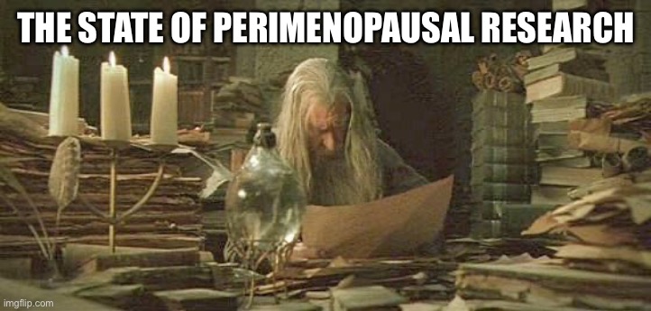 Perimenopausal Gandalf | THE STATE OF PERIMENOPAUSAL RESEARCH | image tagged in gandolfini reading scrolls | made w/ Imgflip meme maker