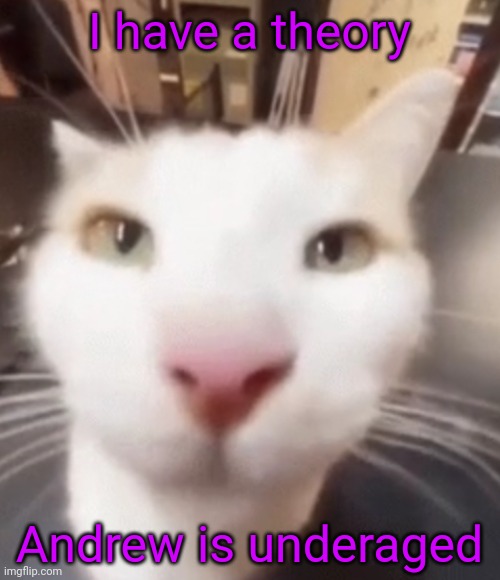 Explains his behavior | I have a theory; Andrew is underaged | image tagged in the stare | made w/ Imgflip meme maker