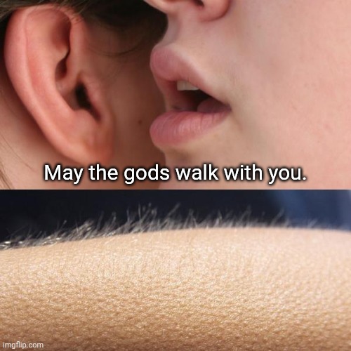 Pagan to pagan | May the gods walk with you. | image tagged in whisper and goosebumps,greetings,gods,pagan | made w/ Imgflip meme maker