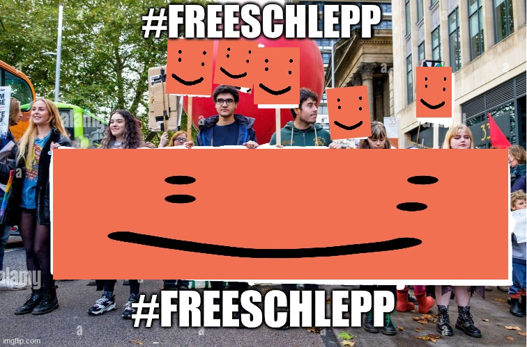 ROBLOX NEEDS A NEW CEO, AND THAT CEO IS SCHLEPP!! #SCHLEPPLIVESMATTER | #FREESCHLEPP; #FREESCHLEPP | image tagged in wide blank protest banner | made w/ Imgflip meme maker