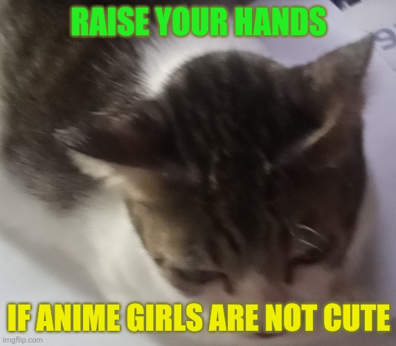 ✋️? | RAISE YOUR HANDS; IF ANIME GIRLS ARE NOT CUTE | image tagged in ming mong | made w/ Imgflip meme maker