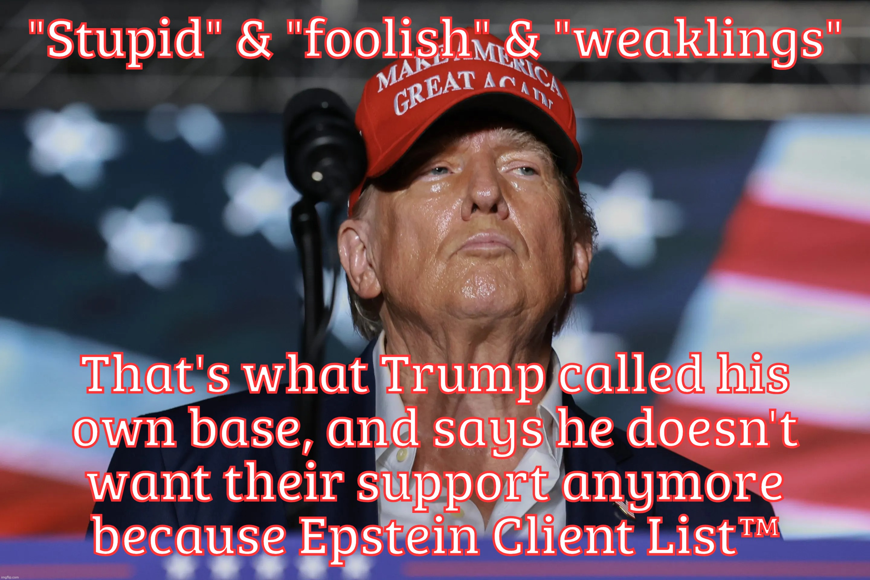"Stupid" & "foolish" & "weaklings"; That's what Trump called his
own base, and says he doesn't
want their support anymore
because Epstein Client List™ | made w/ Imgflip meme maker