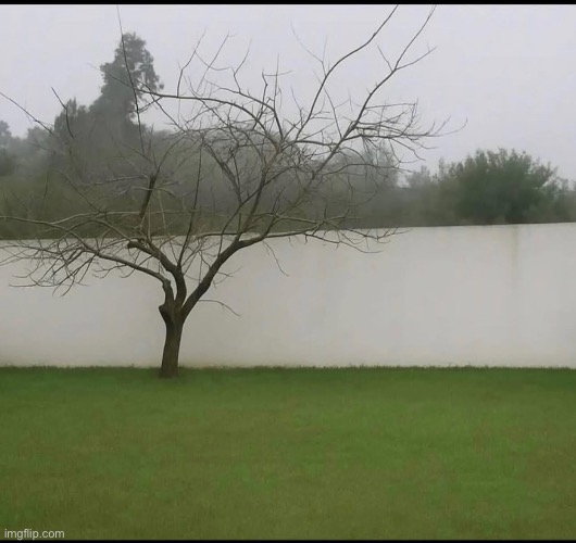 the pond in my yard | made w/ Imgflip meme maker