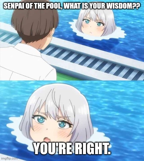 Senpai Of The Pool | SENPAI OF THE POOL, WHAT IS YOUR WISDOM?? YOU'RE RIGHT. | image tagged in senpai of the pool | made w/ Imgflip meme maker