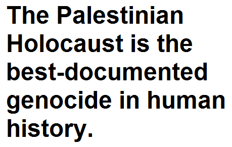 Palestinian Genocide Blank Meme Template