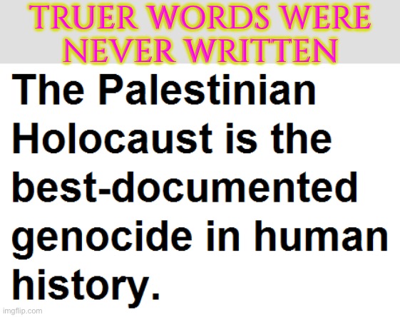 Truer words were never said | TRUER WORDS WERE
NEVER WRITTEN | image tagged in palestinian genocide,genocide,anti-religion,the truth,nazis,palestine | made w/ Imgflip meme maker