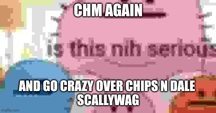 is this nih serious | CHM AGAIN AND GO CRAZY OVER CHIPS N DALE 







SCALLYWAG | image tagged in is this nih serious | made w/ Imgflip meme maker