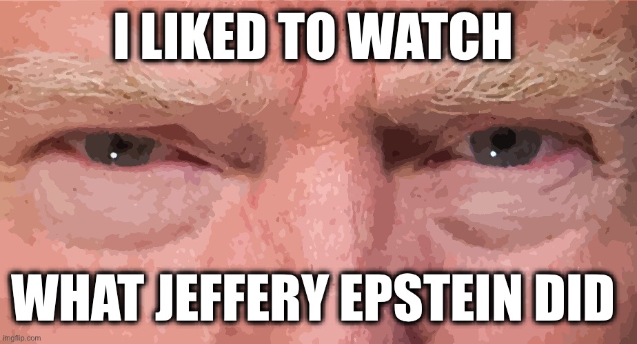 I LIKED TO WATCH; WHAT JEFFERY EPSTEIN DID | image tagged in memes,trump,epstein,gop,sex,children | made w/ Imgflip meme maker