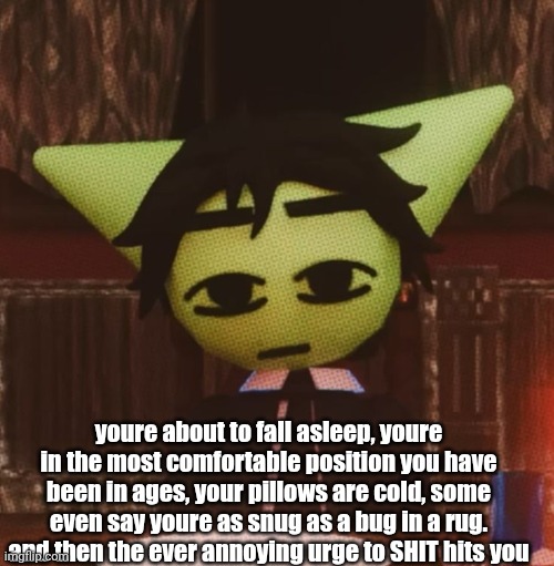 vrochacho what | youre about to fall asleep, youre in the most comfortable position you have been in ages, your pillows are cold, some even say youre as snug as a bug in a rug. and then the ever annoying urge to SHIT hits you | image tagged in vrochacho what | made w/ Imgflip meme maker