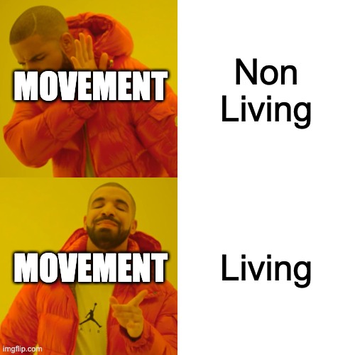 Drake Hotline Bling Meme | Non Living; MOVEMENT; Living; MOVEMENT | image tagged in memes,drake hotline bling | made w/ Imgflip meme maker