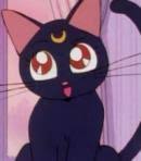 Luna Voice - Sailor Moon (TV Show) - Behind The Voice Actors Blank Meme Template