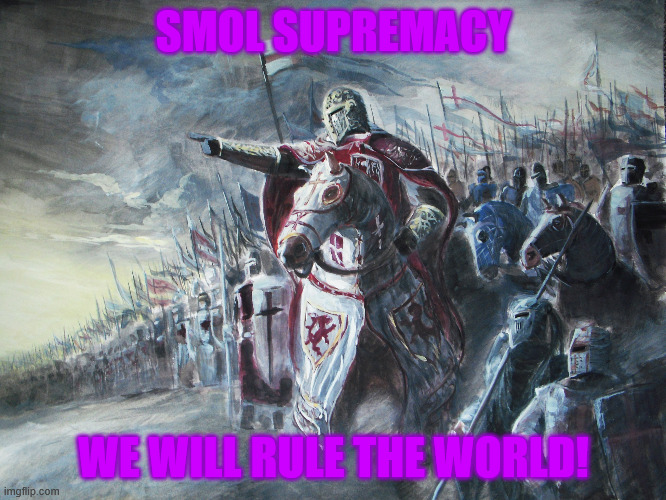 SMOL SUPREMACY | SMOL SUPREMACY; WE WILL RULE THE WORLD! | image tagged in crusader | made w/ Imgflip meme maker