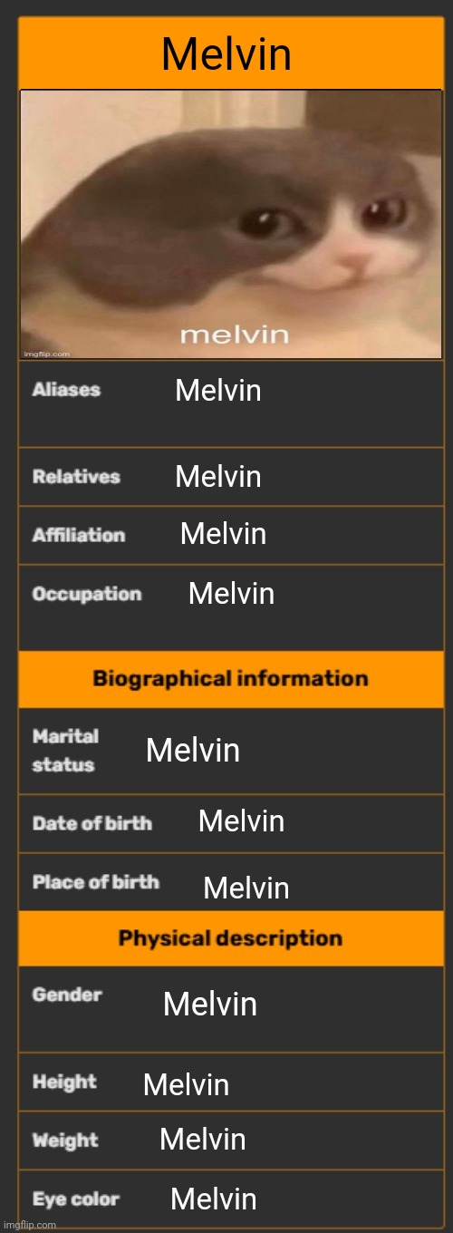 Melvin | Melvin; Melvin; Melvin; Melvin; Melvin; Melvin; Melvin; Melvin; Melvin; Melvin; Melvin; Melvin | image tagged in wiki infobox template,melvin | made w/ Imgflip meme maker