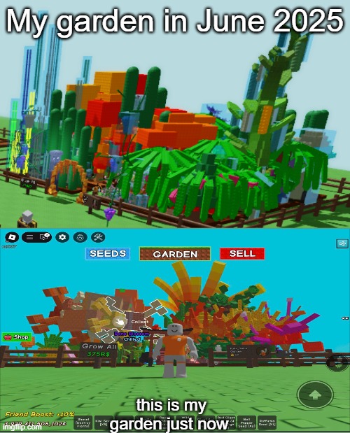 literally anyone in grow a garden | My garden in June 2025; this is my garden just now | image tagged in literally anyone in grow a garden | made w/ Imgflip meme maker