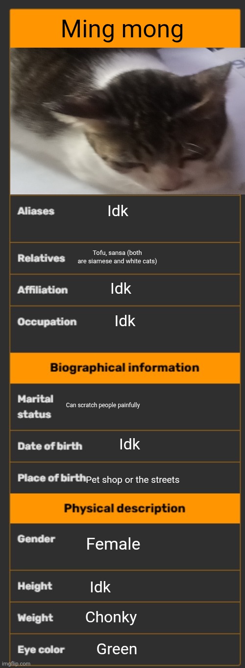 Ming mong's info | Ming mong; Idk; Tofu, sansa (both are siamese and white cats); Idk; Idk; Can scratch people painfully; Idk; Pet shop or the streets; Female; Idk; Chonky; Green | image tagged in wiki infobox template | made w/ Imgflip meme maker