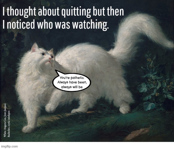 Yeh | I thought about quitting but then
I noticed who was watching. You're pathetic.
Always have been,
always will be. White Angora Cat, Jean-Jacques Bachelier, c1761: minkpen | image tagged in art memes,artmemes,cat,inspirational quote,misanthropy | made w/ Imgflip meme maker