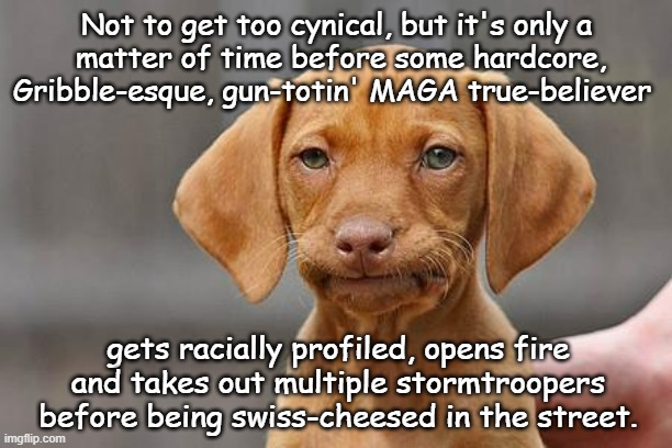 Dissapointed puppy | Not to get too cynical, but it's only a
 matter of time before some hardcore,
Gribble-esque, gun-totin' MAGA true-believer gets racially pro | image tagged in dissapointed puppy | made w/ Imgflip meme maker