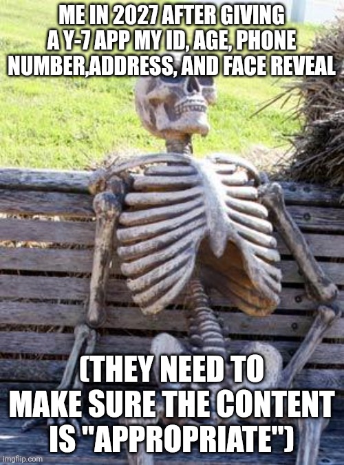 Damnnnnnnnnn | ME IN 2027 AFTER GIVING A Y-7 APP MY ID, AGE, PHONE NUMBER,ADDRESS, AND FACE REVEAL; (THEY NEED TO MAKE SURE THE CONTENT IS "APPROPRIATE") | image tagged in memes,waiting skeleton | made w/ Imgflip meme maker