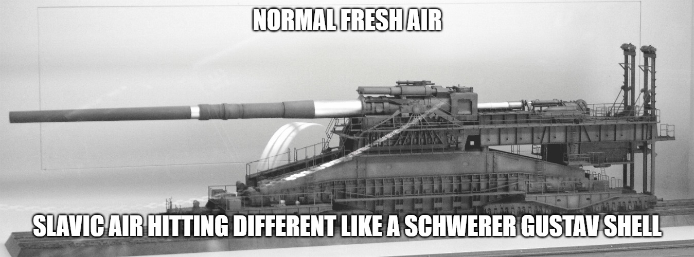 Slavic Schwerer Gustav | NORMAL FRESH AIR; SLAVIC AIR HITTING DIFFERENT LIKE A SCHWERER GUSTAV SHELL | image tagged in slavic schwerer gustav,slavic lives matter | made w/ Imgflip meme maker