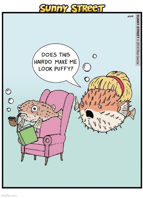 Ummm… | image tagged in comics,sunny street,puffer fish,puffy | made w/ Imgflip meme maker