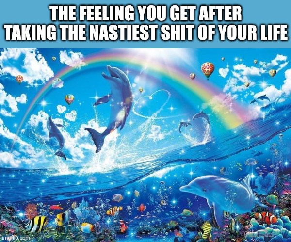 So nice | THE FEELING YOU GET AFTER TAKING THE NASTIEST SHIT OF YOUR LIFE | image tagged in happy dolphin rainbow,happy,dolphin,shit,noice,lol so funny | made w/ Imgflip meme maker
