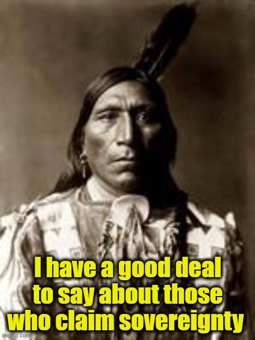 I have a good deal to say about those who claim sovereignty | image tagged in native american | made w/ Imgflip meme maker