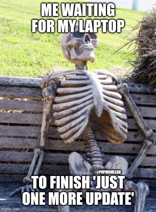 Anyway now.... | ME WAITING FOR MY LAPTOP; TO FINISH 'JUST ONE MORE UPDATE'; #PUPMOMLEAH | image tagged in memes,waiting skeleton | made w/ Imgflip meme maker