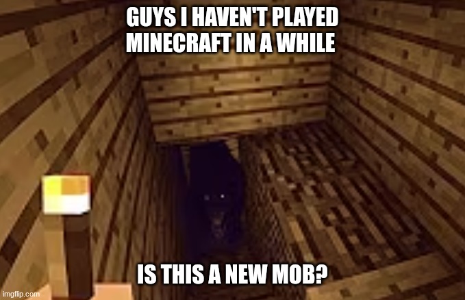 NEW MOB JUST GOT ADDED! | GUYS I HAVEN'T PLAYED MINECRAFT IN A WHILE; IS THIS A NEW MOB? | image tagged in minecraft | made w/ Imgflip meme maker