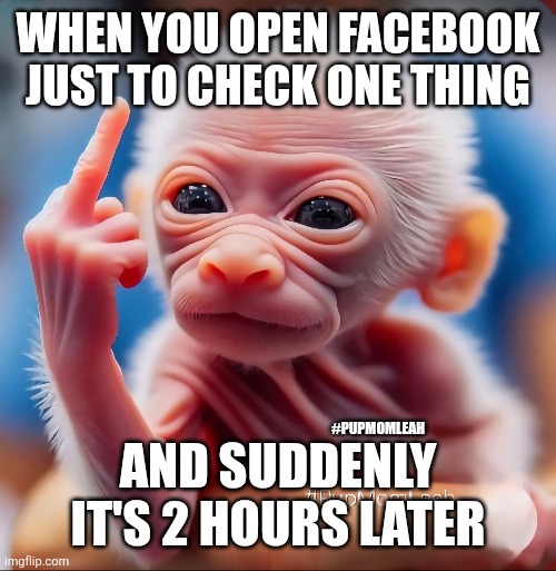 Monkey see ? | WHEN YOU OPEN FACEBOOK JUST TO CHECK ONE THING; AND SUDDENLY IT'S 2 HOURS LATER; #PUPMOMLEAH | image tagged in funny,monkey,ill just wait here | made w/ Imgflip meme maker