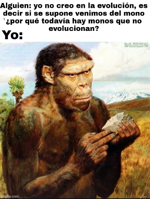 a3qa4z.jpg
