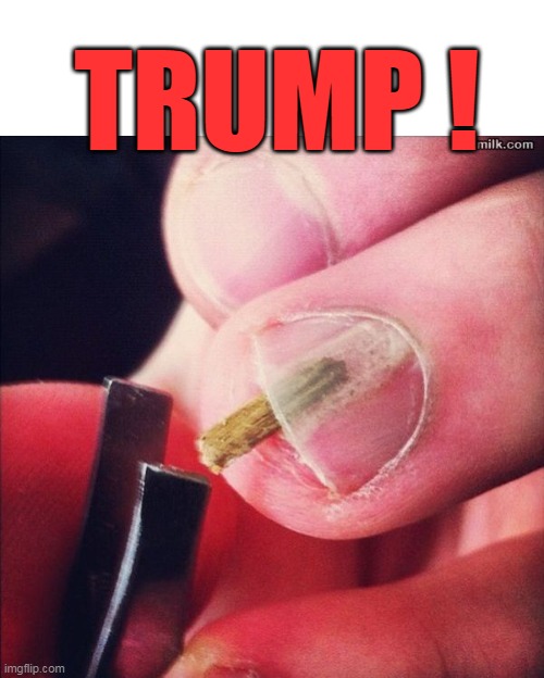 TRUMP ! | made w/ Imgflip meme maker
