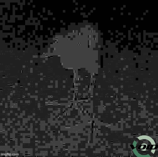 DAMN!!! bird | WHAT ARE YOU, WHEN YOU HAVE BEEN FORGOTTEN? WHAT IS LEFT AFTER OBLIVION? | made w/ Imgflip meme maker