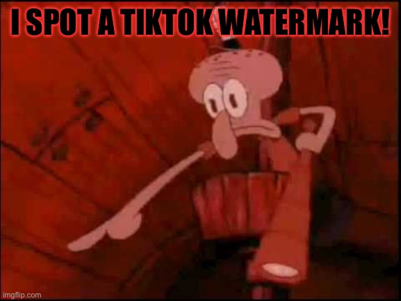 Pointing Squidward | I SPOT A TIKTOK WATERMARK! | image tagged in pointing squidward | made w/ Imgflip meme maker