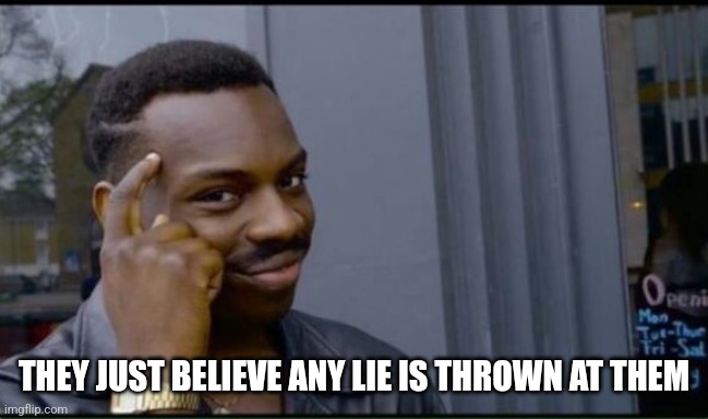 Thinking Black Man | THEY JUST BELIEVE ANY LIE IS THROWN AT THEM | image tagged in thinking black man | made w/ Imgflip meme maker