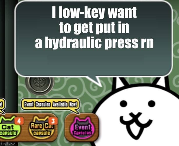 Never have I wanted to jump off a cliff more in my life | I low-key want to get put in a hydraulic press rn | image tagged in the basic cat says something | made w/ Imgflip meme maker