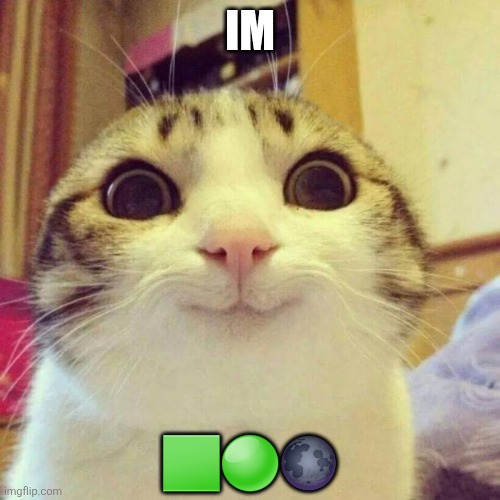 Smiling Cat Meme | IM ??? | image tagged in memes,smiling cat | made w/ Imgflip meme maker