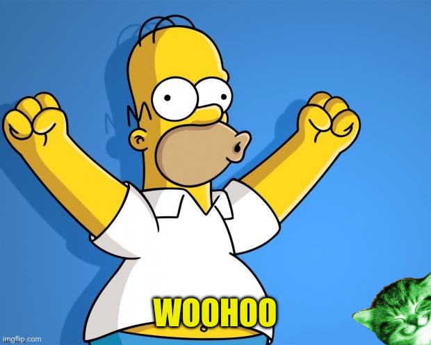 Woohoo Homer Simpson | WOOHOO | image tagged in woohoo homer simpson | made w/ Imgflip meme maker