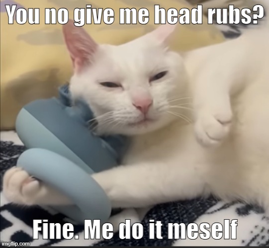 (insert clever cat title here) | You no give me head rubs? Fine. Me do it meself | image tagged in cats,funny | made w/ Imgflip meme maker