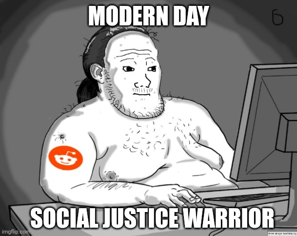 Average Redditor | MODERN DAY SOCIAL JUSTICE WARRIOR | image tagged in average redditor | made w/ Imgflip meme maker