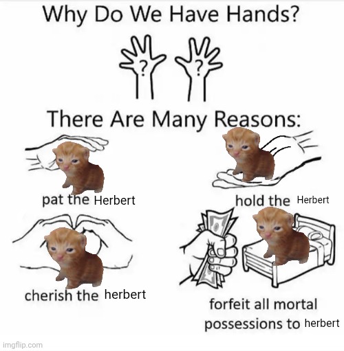 Why do we have hands? (all blank) | Herbert; Herbert; herbert; herbert | image tagged in why do we have hands all blank,herbert | made w/ Imgflip meme maker