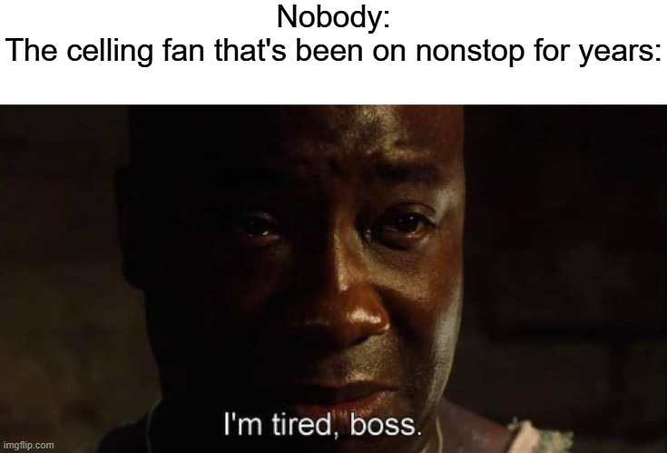 it's gonna fall or smth | Nobody:
The celling fan that's been on nonstop for years: | image tagged in i'm tired boss,funny,memes | made w/ Imgflip meme maker