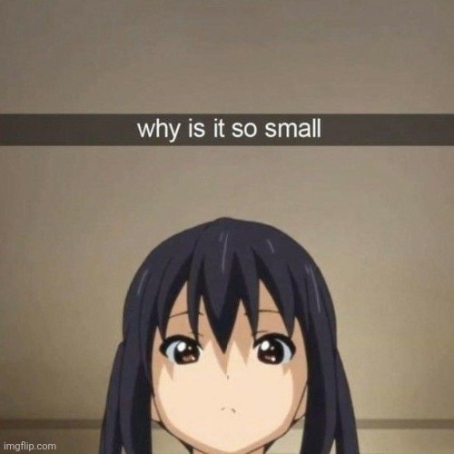 Why is it so small? | image tagged in why is it so small | made w/ Imgflip meme maker