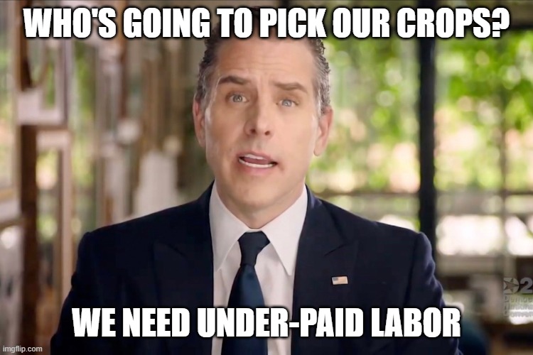 Hunter Biden | WHO'S GOING TO PICK OUR CROPS? WE NEED UNDER-PAID LABOR | image tagged in hunter biden | made w/ Imgflip meme maker
