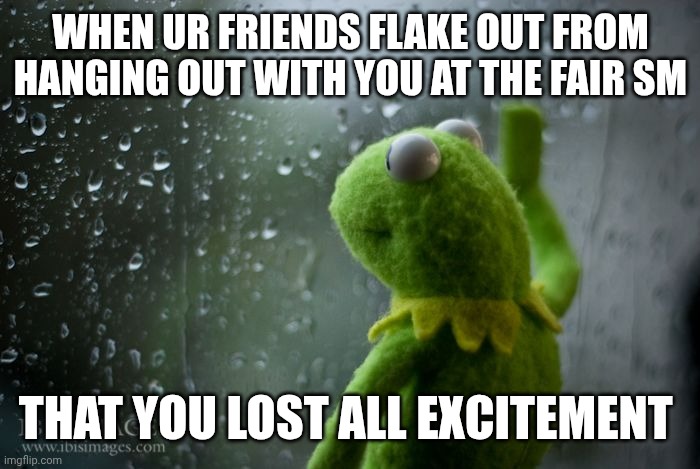 Like chat I've literally been crying in frustration | WHEN UR FRIENDS FLAKE OUT FROM HANGING OUT WITH YOU AT THE FAIR SM; THAT YOU LOST ALL EXCITEMENT | image tagged in kermit window | made w/ Imgflip meme maker